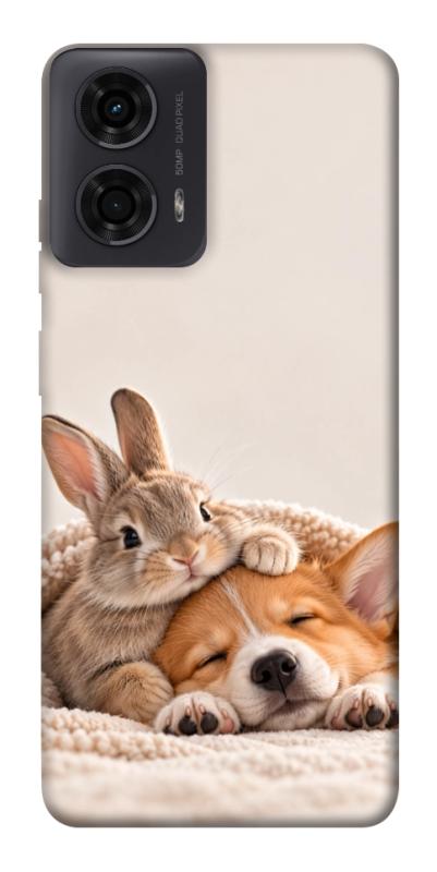 Чохол itsPrint Rabbit and corgi для Motorola Moto G24, armored, купити оптом з доставкою
