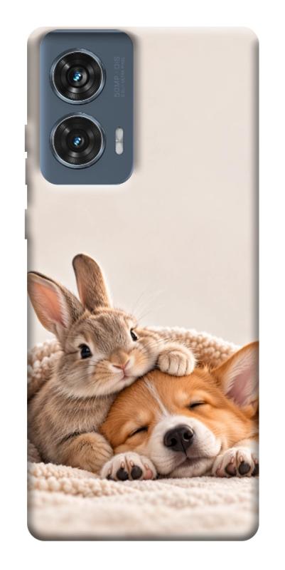 Чехол itsPrint Rabbit and corgi для Motorola Edge 50 Fusion, armored, купить оптом с доставкой