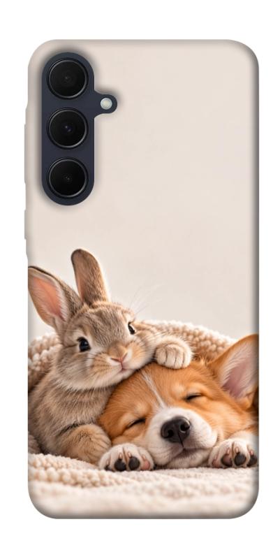 Чехол itsPrint Rabbit and corgi для Samsung Galaxy A55, armored, купить оптом с доставкой