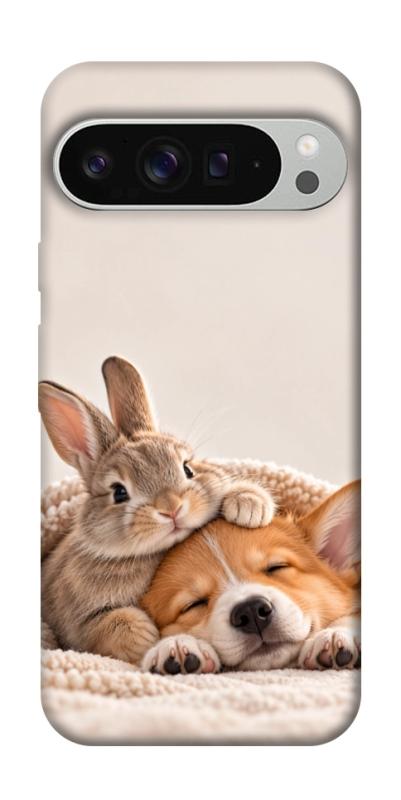 Чехол itsPrint Rabbit and corgi для Google Pixel 9 Pro XL, armored, купить оптом с доставкой