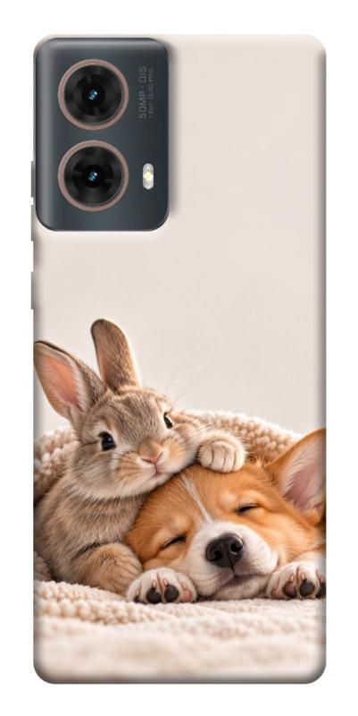 Чохол itsPrint Rabbit and corgi для Motorola Moto G85, armored, купити оптом з доставкою