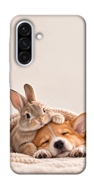 Чехол itsPrint Rabbit and corgi для Samsung Galaxy A36 5G, armored, купить оптом с доставкой
