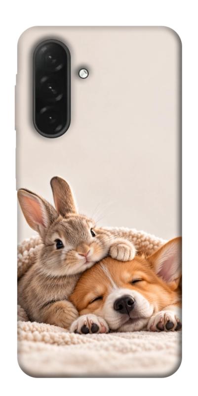 Чохол itsPrint Rabbit and corgi для Samsung Galaxy A26 5G, armored, купити оптом з доставкою