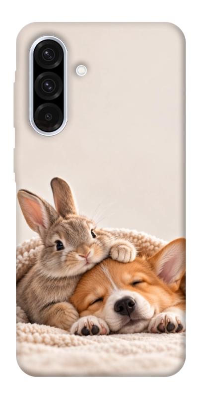 Чехол itsPrint Rabbit and corgi для Samsung Galaxy A56 5G, armored, купить оптом с доставкой