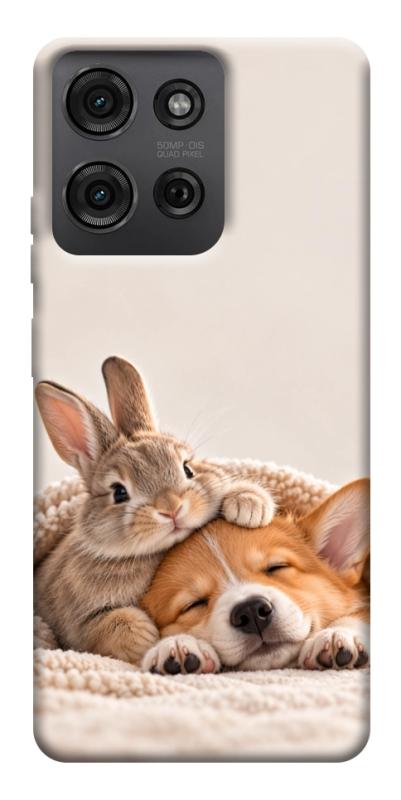 Чохол itsPrint Rabbit and corgi для Motorola Moto G75 5G, armored, купити оптом з доставкою