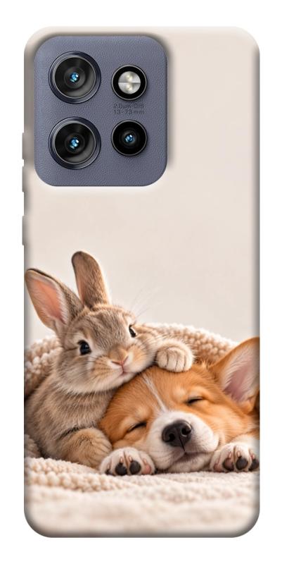 Чохол itsPrint Rabbit and corgi для Motorola Edge 50 Neo, armored, купити оптом з доставкою