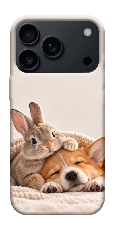 Чехол itsPrint Rabbit and corgi для Apple iPhone 17 Pro (6.3"), armored, купить оптом с доставкой