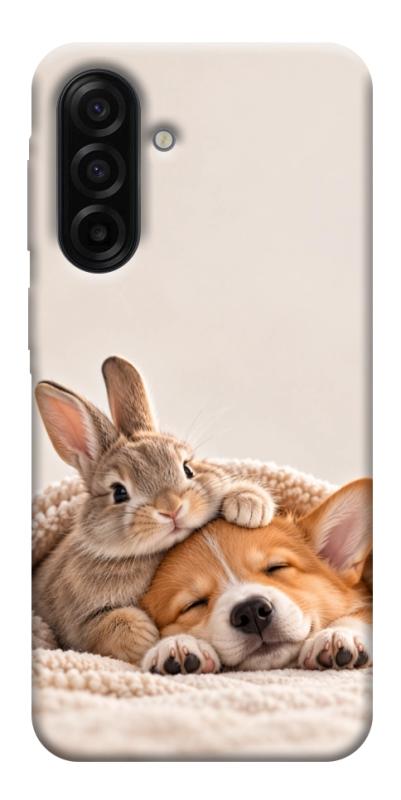 Чохол itsPrint Rabbit and corgi для Samsung Galaxy A17 5G/4G, armored, купити оптом з доставкою