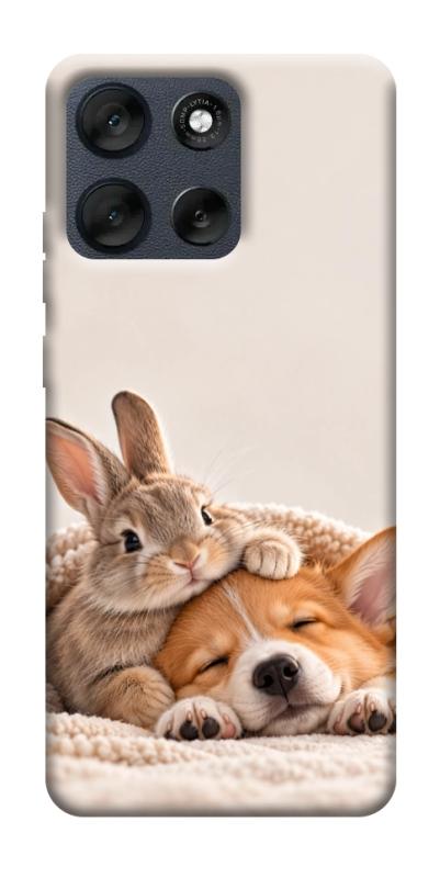 Чехол itsPrint Rabbit and corgi для Motorola Moto G56 5G, armored, купить оптом с доставкой