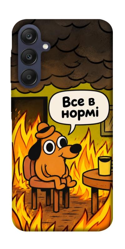 Чохол itsPrint Все в нормі для Samsung Galaxy A25 5G, armored, купити оптом з доставкою
