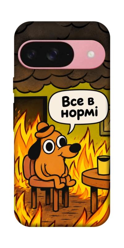 Чохол itsPrint Все в нормі для Google Pixel 9, armored, купити оптом з доставкою