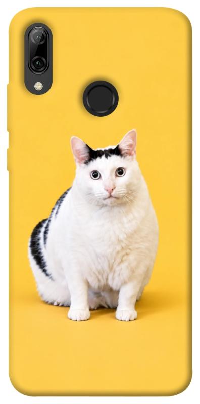 Чохол itsPrint Мау для Huawei P Smart (2019), armored, купити оптом з доставкою