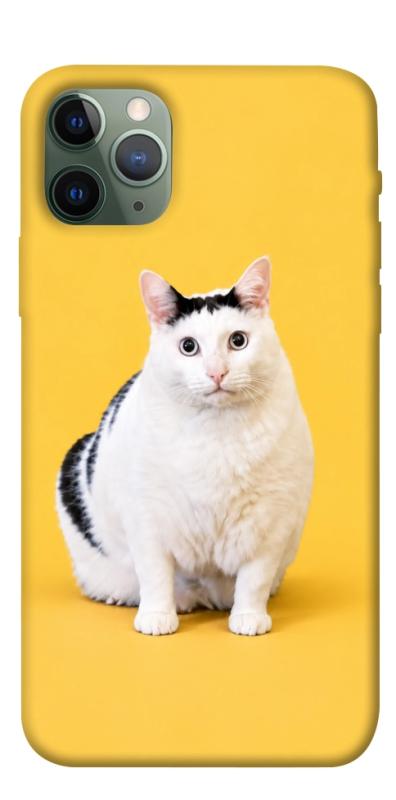 Чехол itsPrint Мау для Apple iPhone 11 Pro (5.8"), armored, купить оптом с доставкой