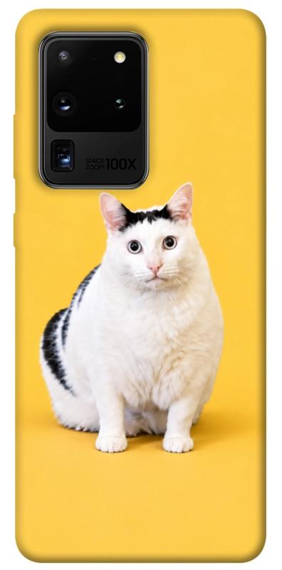 Чохол itsPrint Мау для Samsung Galaxy S20 Ultra, armored, купити оптом з доставкою