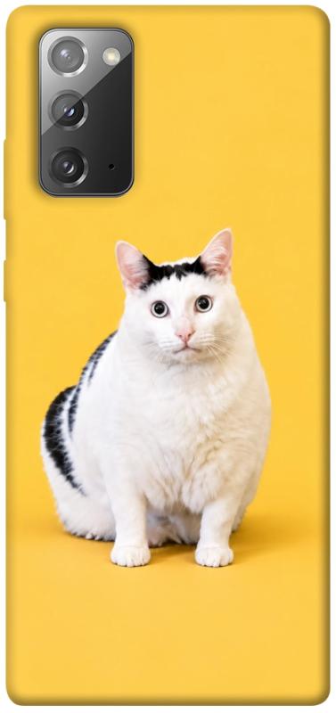 Чохол itsPrint Мау для Samsung Galaxy Note 20, armored, купити оптом з доставкою