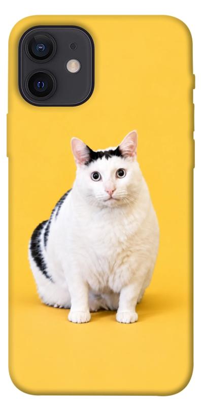 Чехол itsPrint Мау для Apple iPhone 12 Pro (6.1"), armored, купить оптом с доставкой
