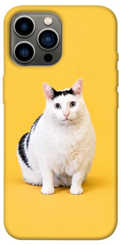 Чехол itsPrint Мау для Apple iPhone 12 Pro Max (6.7"), armored, купить оптом с доставкой