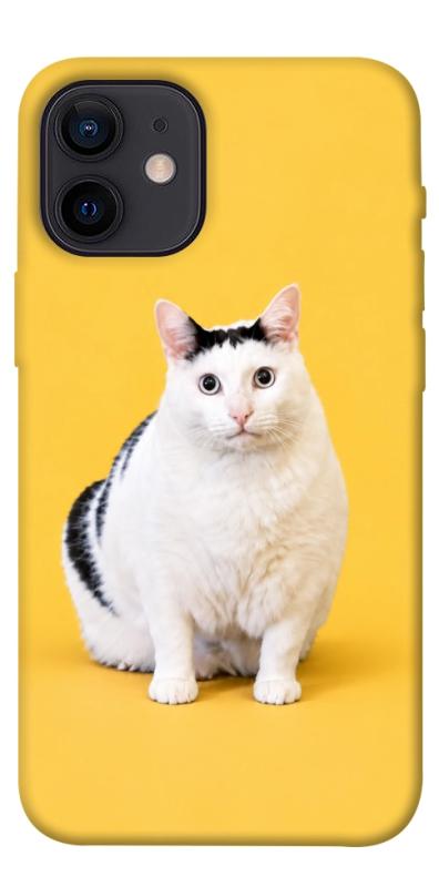 Чехол itsPrint Мау для Apple iPhone 12 mini (5.4"), armored, купить оптом с доставкой