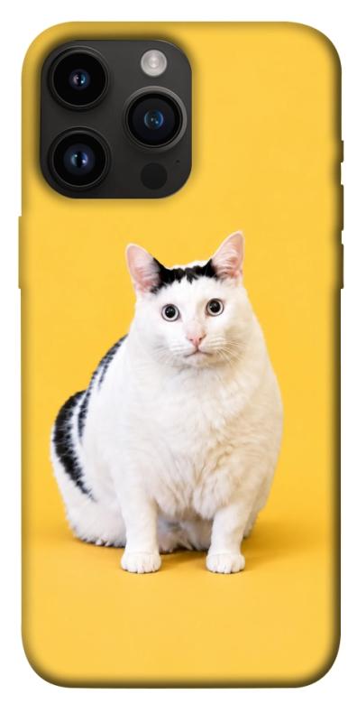 Чехол itsPrint Мау для Apple iPhone 14 Pro Max (6.7"), armored, купить оптом с доставкой
