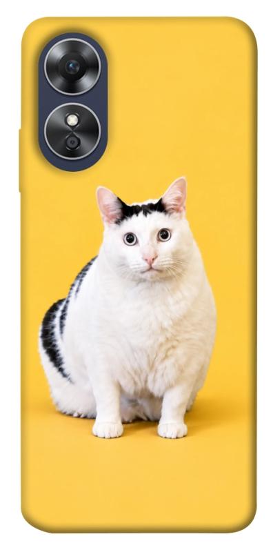 Чохол itsPrint Мау для Oppo A17, armored, купити оптом з доставкою