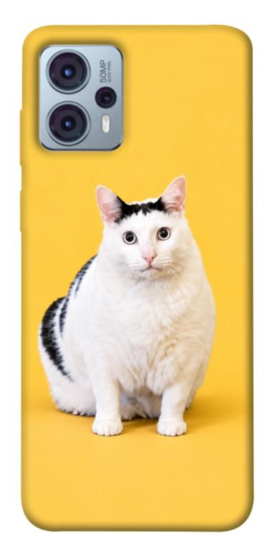 Чохол itsPrint Мау для Motorola Moto G23, armored, купити оптом з доставкою
