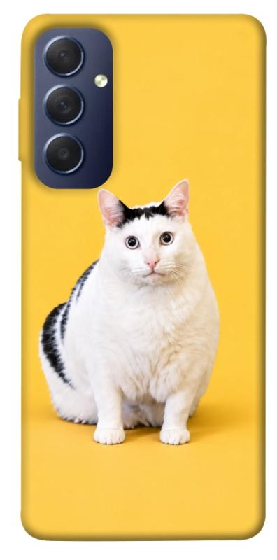Чохол itsPrint Мау для Samsung Galaxy M54 5G, armored, купити оптом з доставкою