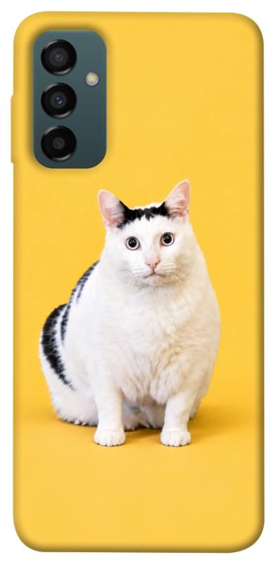 Чохол itsPrint Мау для Samsung Galaxy M34 5G, armored, купити оптом з доставкою