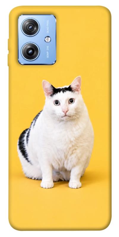 Чохол itsPrint Мау для Motorola Moto G84, armored, купити оптом з доставкою