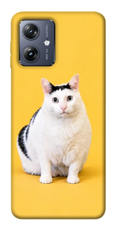 Чохол itsPrint Мау для Motorola Moto G54, armored, купити оптом з доставкою