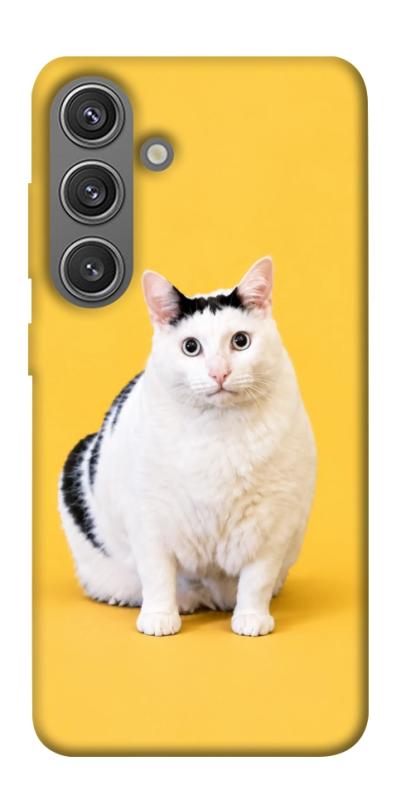 Чохол itsPrint Мау для Samsung Galaxy S24+, armored, купити оптом з доставкою