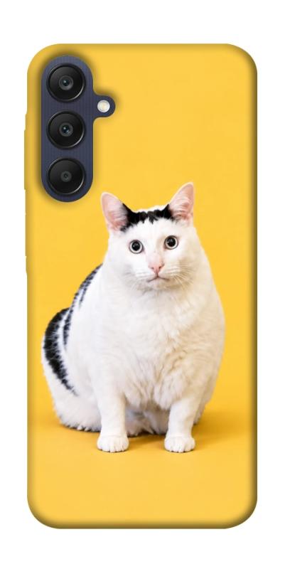 Чохол itsPrint Мау для Samsung Galaxy A25 5G, armored, купити оптом з доставкою
