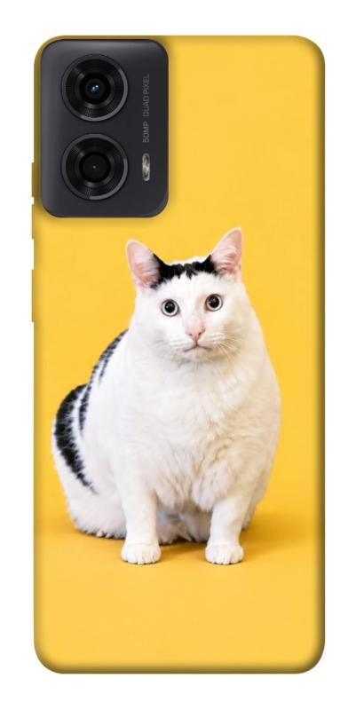Чохол itsPrint Мау для Motorola Moto G24, armored, купити оптом з доставкою