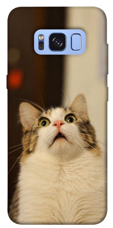 Чохол itsPrint Shocked Cat для Samsung G950 Galaxy S8, armored, купити оптом з доставкою