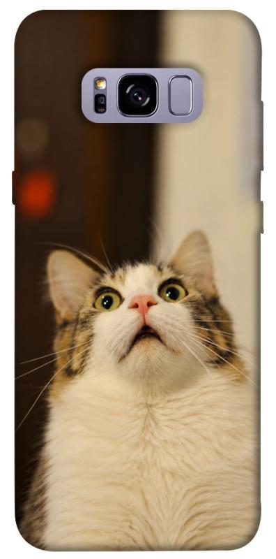 Чохол itsPrint Shocked Cat для Samsung G955 Galaxy S8 Plus, armored, купити оптом з доставкою