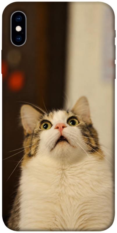 Чохол itsPrint Shocked Cat для Apple iPhone X (5.8"), armored, купити оптом з доставкою