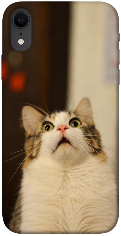 Чохол itsPrint Shocked Cat для Apple iPhone XR (6.1"), armored, купити оптом з доставкою