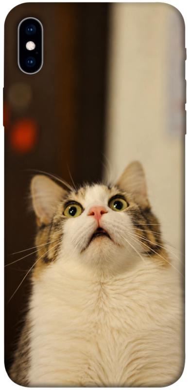 Чохол itsPrint Shocked Cat для Apple iPhone XS Max (6.5"), armored, купити оптом з доставкою