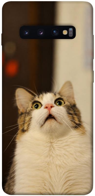 Чехол itsPrint Shocked Cat для Samsung Galaxy S10+, armored, купить оптом с доставкой