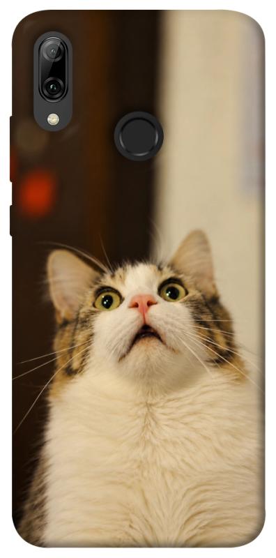 Чехол itsPrint Shocked Cat для Huawei P Smart (2019), armored, купить оптом с доставкой
