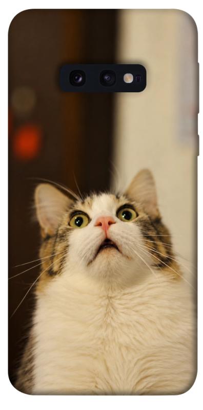 Чохол itsPrint Shocked Cat для Samsung Galaxy S10e, armored, купити оптом з доставкою
