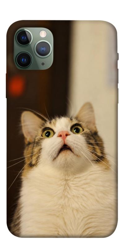 Чохол itsPrint Shocked Cat для Apple iPhone 11 Pro (5.8"), armored, купити оптом з доставкою