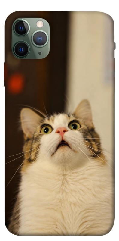 Чохол itsPrint Shocked Cat для Apple iPhone 11 Pro Max (6.5"), armored, купити оптом з доставкою