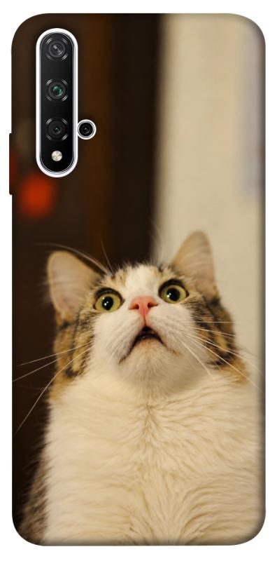 Чехол itsPrint Shocked Cat для Huawei Honor 20 / Nova 5T, armored, купить оптом с доставкой