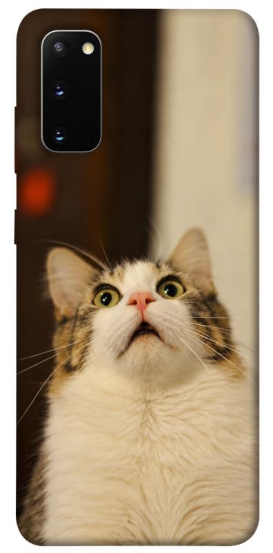 Чехол itsPrint Shocked Cat для Samsung Galaxy S20, armored, купить оптом с доставкой