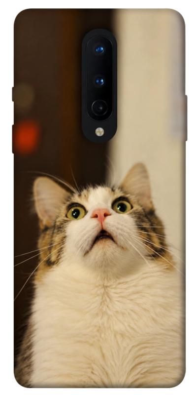 Чехол itsPrint Shocked Cat для OnePlus 8, armored, купить оптом с доставкой