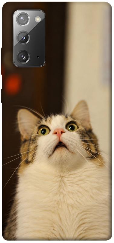 Чохол itsPrint Shocked Cat для Samsung Galaxy Note 20, armored, купити оптом з доставкою