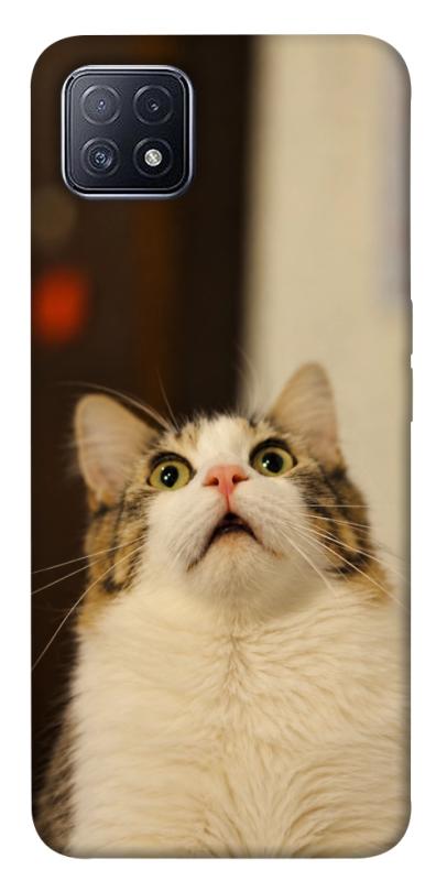 Чохол itsPrint Shocked Cat для Oppo A73, armored, купити оптом з доставкою