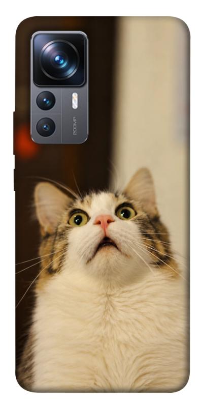 Чехол itsPrint Shocked Cat для Xiaomi 12T / 12T Pro, armored, купить оптом с доставкой