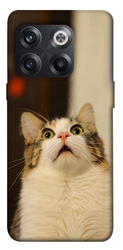 Чохол itsPrint Shocked Cat для OnePlus 10T, armored, купити оптом з доставкою