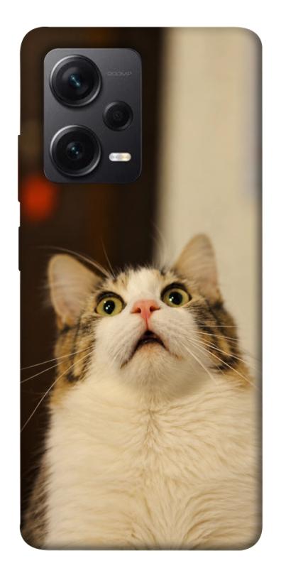Чехол itsPrint Shocked Cat для Xiaomi Redmi Note 12 Pro+ 5G, armored, купить оптом с доставкой